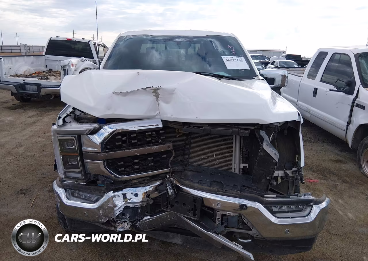 2023 Ford F-150 King Ranch VIN:1FTFW1E84PFC28765 - 12