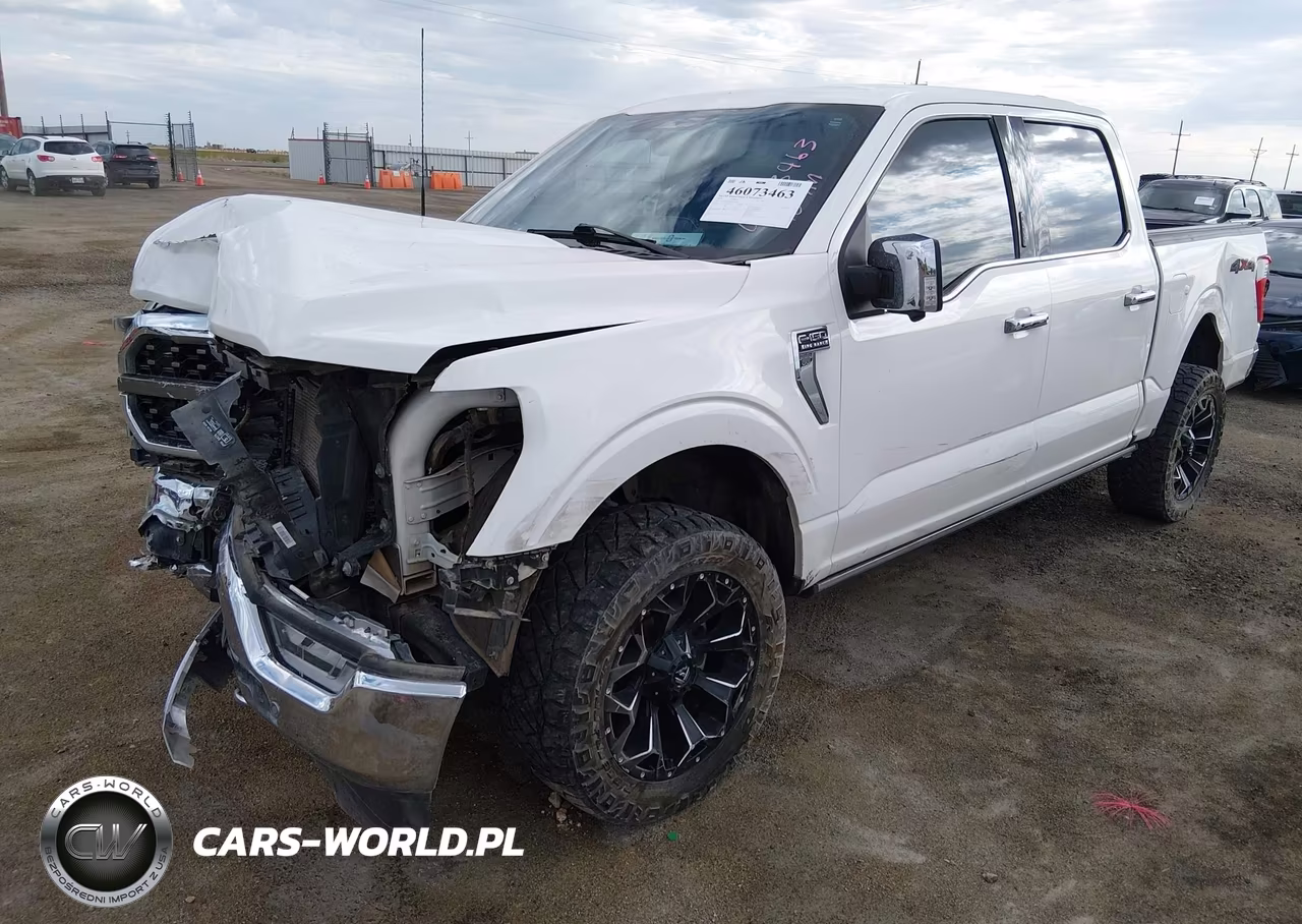 2023 Ford F-150 King Ranch VIN:1FTFW1E84PFC28765 - 2
