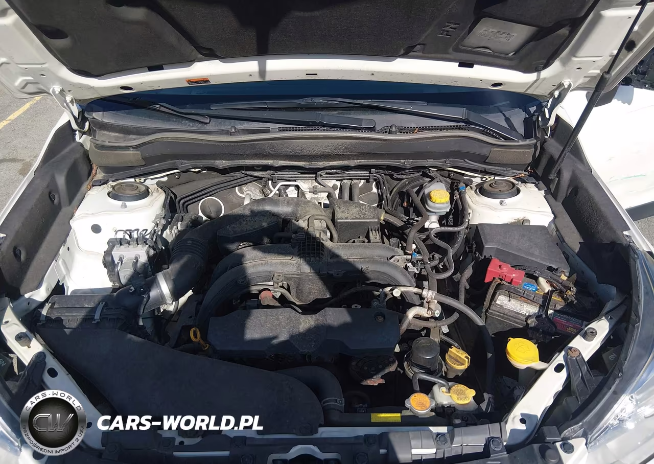 2018 Subaru Forester 2.5I Premium VIN:JF2SJAEC6JH543436 - 10