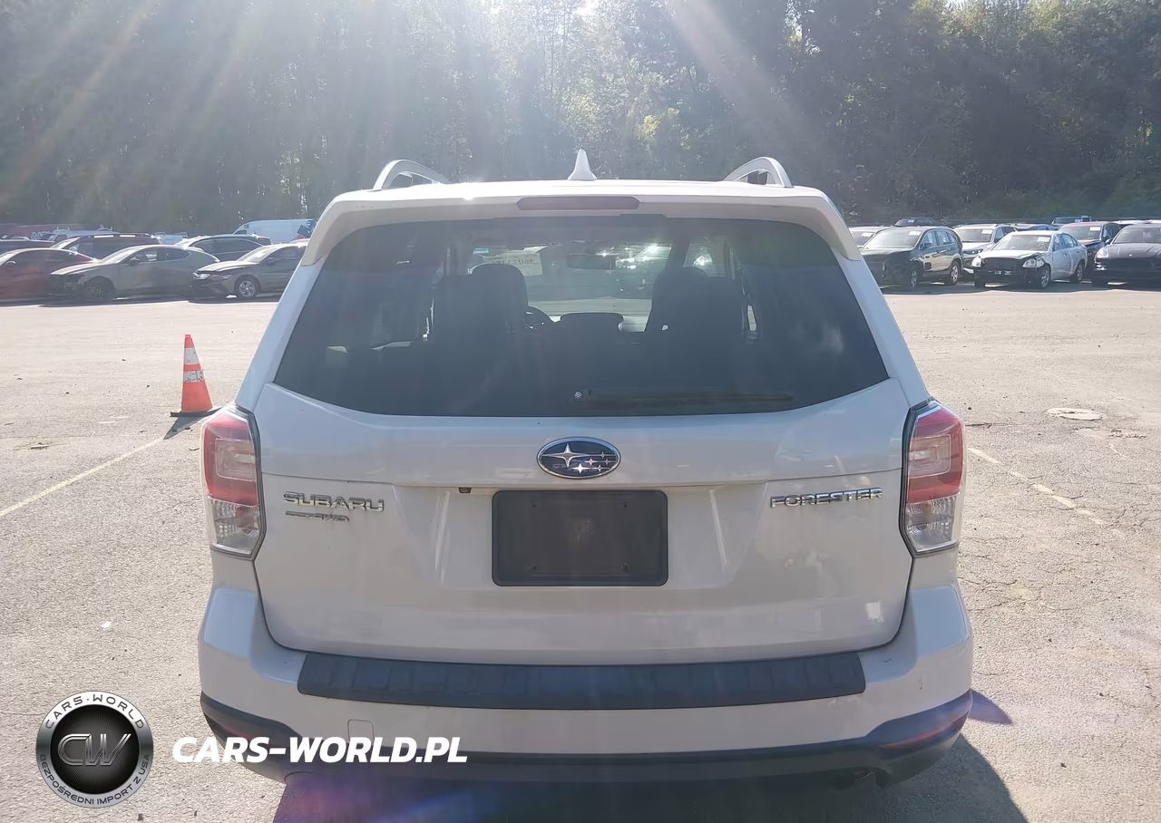 2018 Subaru Forester 2.5I Premium VIN:JF2SJAEC6JH543436 - 16