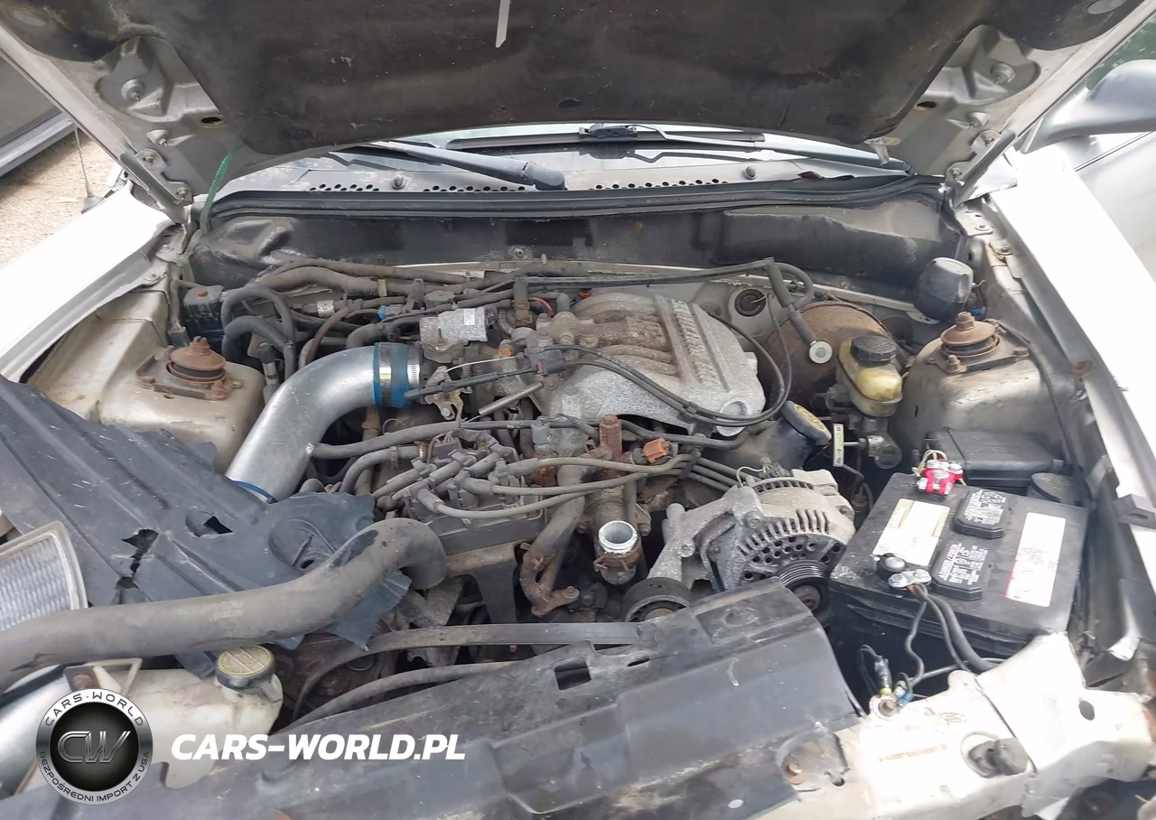 1998 Ford Mustang VIN:1FAFP4040WF205099 - 10