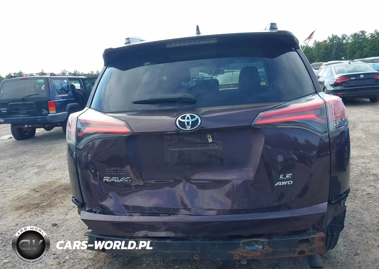2016 Toyota Rav4 Le VIN:2T3BFREV1GW536851 - 6