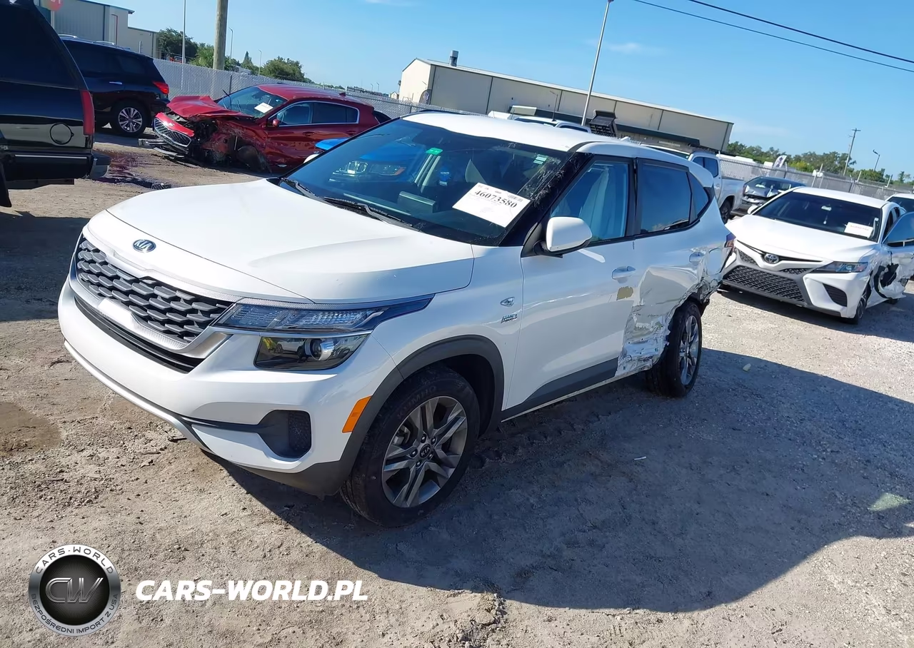 2021 Kia Seltos Lx VIN:KNDEPCAA7M7062132 - 2