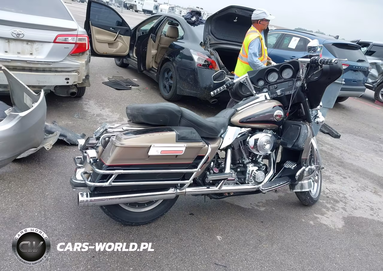 2004 Harley-Davidson Flhtcui VIN:1HD1FCW134Y606306 - 12