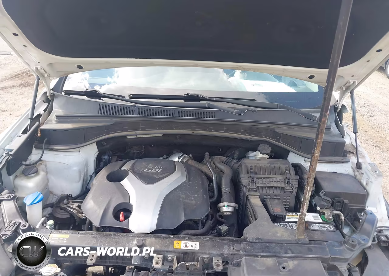 2014 Hyundai Santa Fe Sport 2.0L Turbo VIN:5XYZUDLA9EG154828 - 10