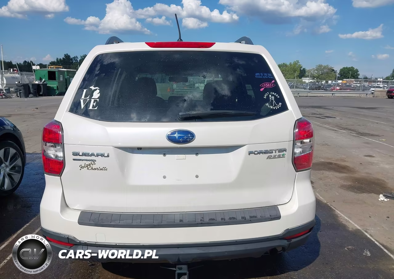 2015 Subaru Forester 2.5I Premium VIN:JF2SJADC0FH445477 - 16