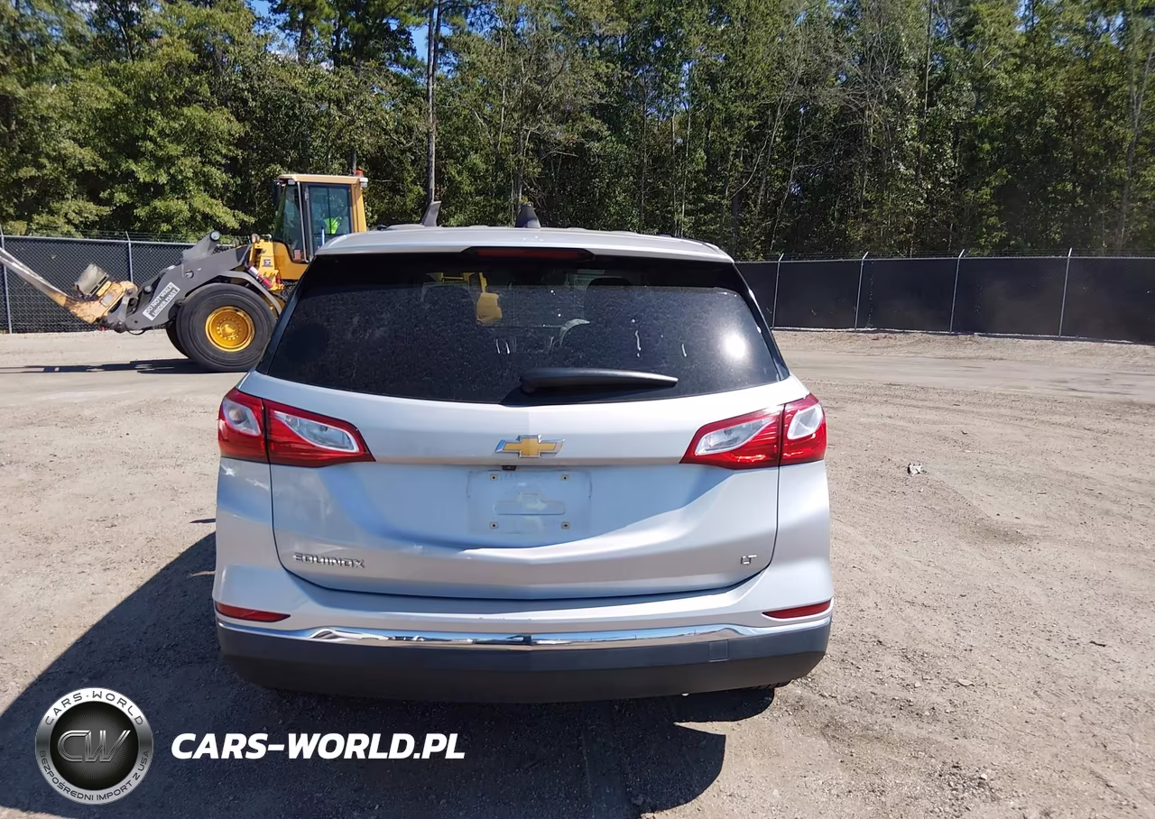 2019 Chevrolet Equinox Lt VIN:2GNAXKEV8K6197839 - 16