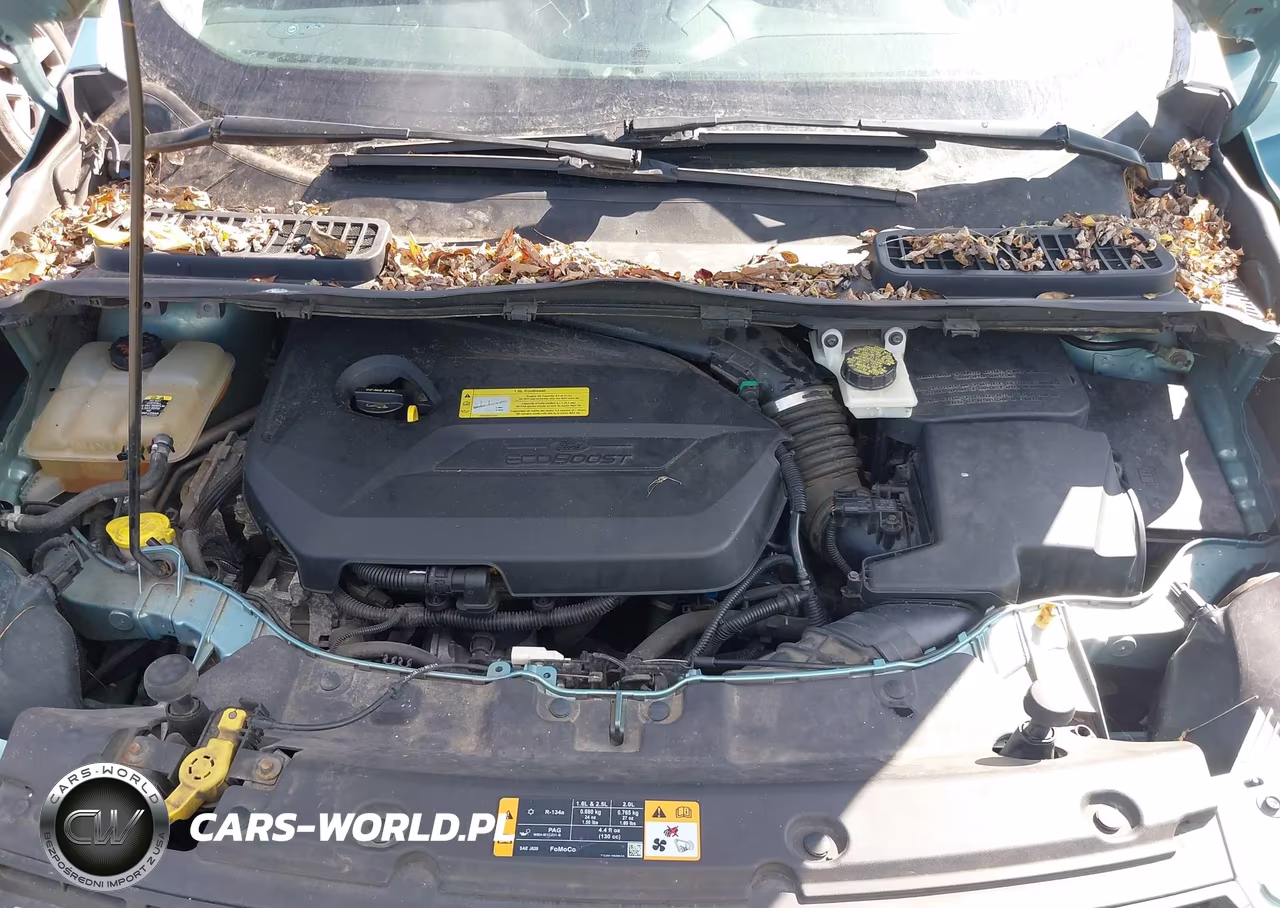 2013 Ford Escape Se VIN:1FMCU9GX5DUB92941 - 10