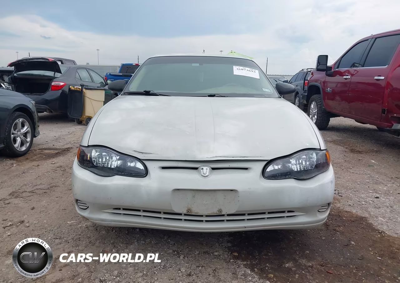 2004 Chevrolet Monte Carlo Ls VIN:2G1WW12EX49192507 - 13
