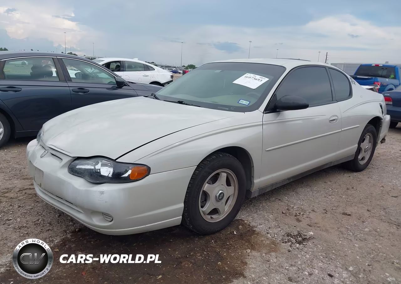2004 Chevrolet Monte Carlo Ls VIN:2G1WW12EX49192507 - 2