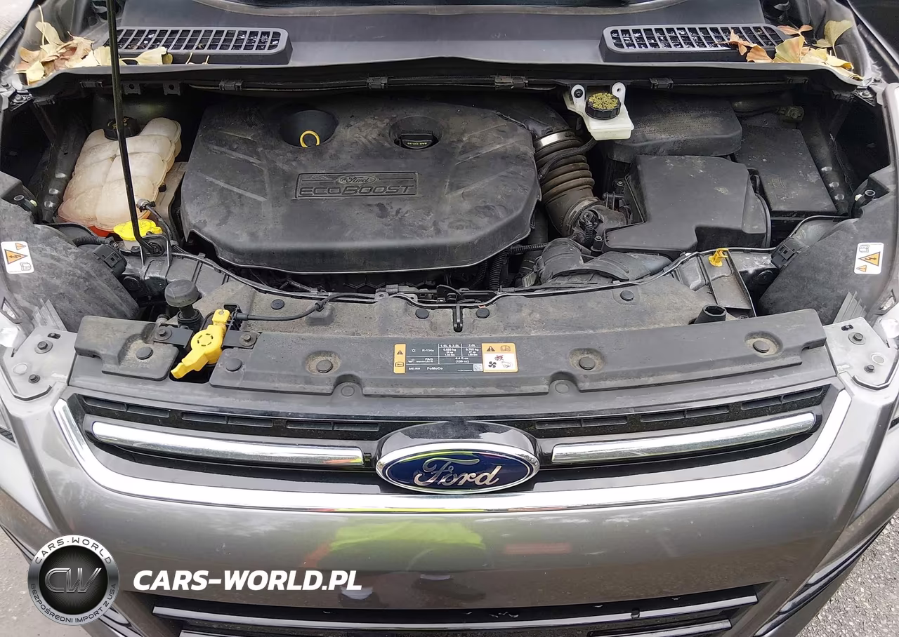 2014 Ford Escape Titanium VIN:1FMCU9J99EUB62112 - 10