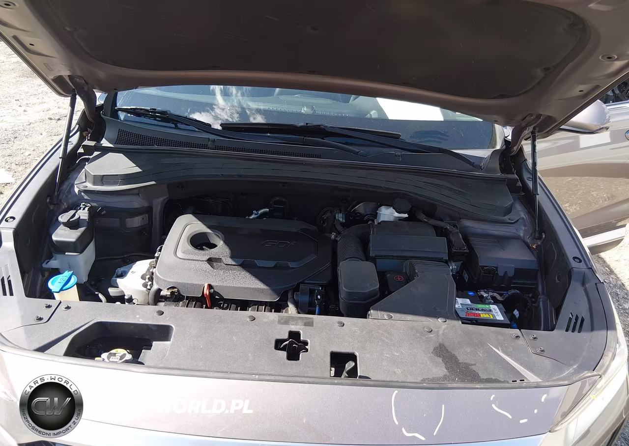 2019 Hyundai Santa Fe Sel VIN:5NMS3CAD4KH043603 - 10