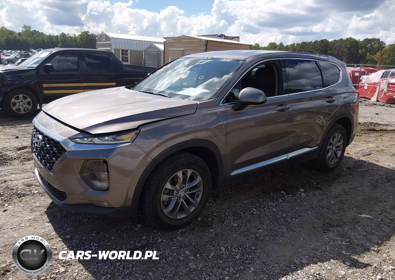 2019 Hyundai Santa Fe Sel VIN:5NMS3CAD4KH043603 - 2