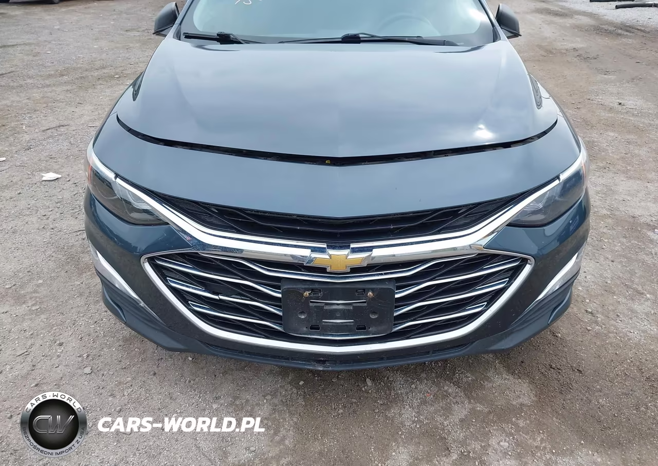 2019 Chevrolet Malibu 1Ls VIN:1G1ZB5ST1KF175260 - 12