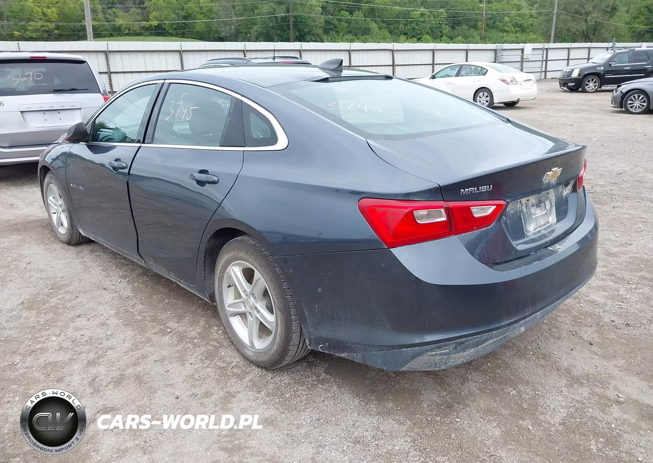2019 Chevrolet Malibu 1Ls VIN:1G1ZB5ST1KF175260 - 3