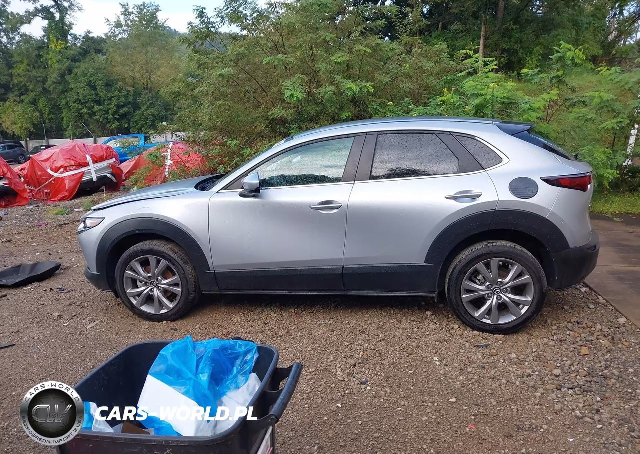 2021 Mazda Cx-30 Select VIN:3MVDMABL8MM237825 - 15