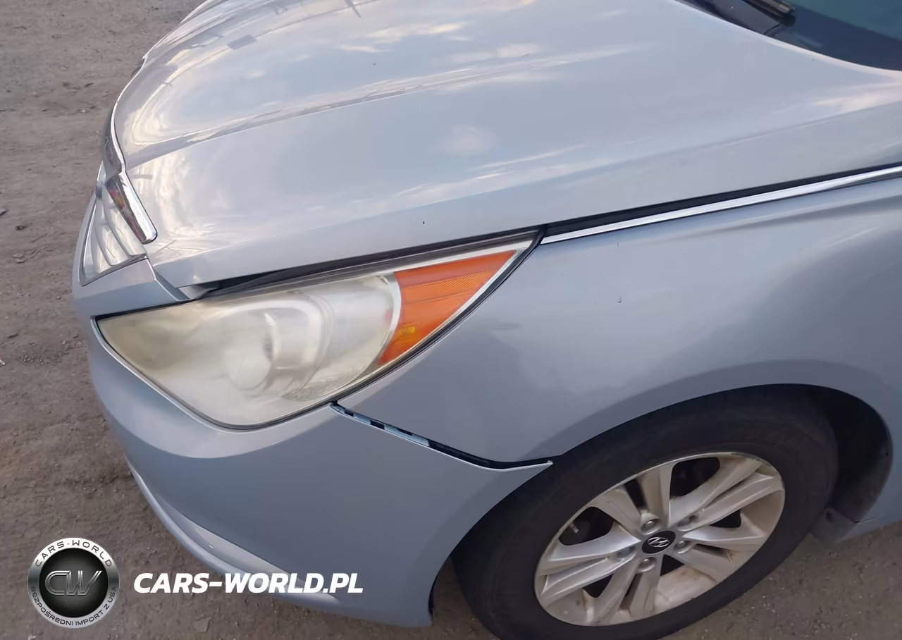 2011 Hyundai Sonata Gls VIN:5NPEB4ACXBH099125 - 19