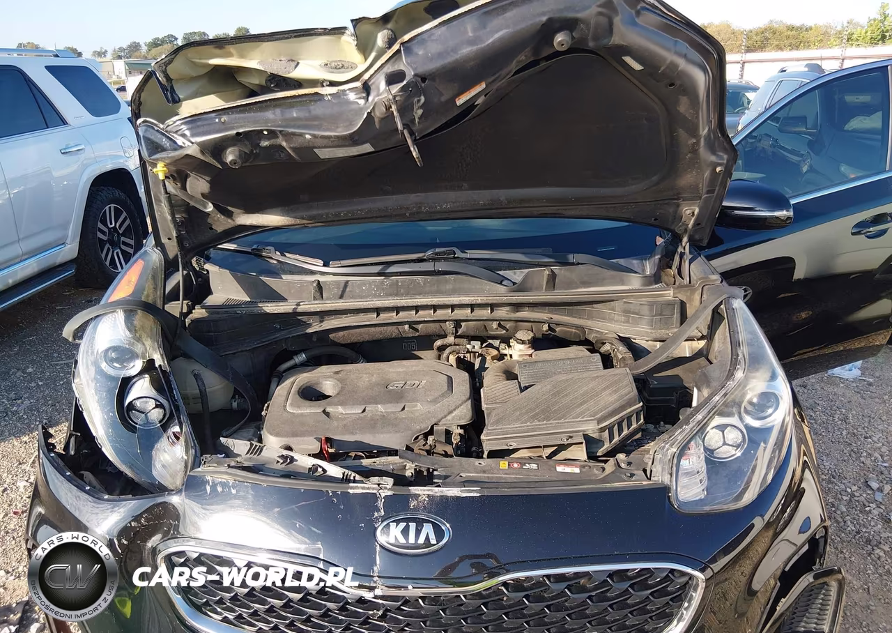 2020 Kia Sportage Lx VIN:KNDPM3AC9L7677038 - 10