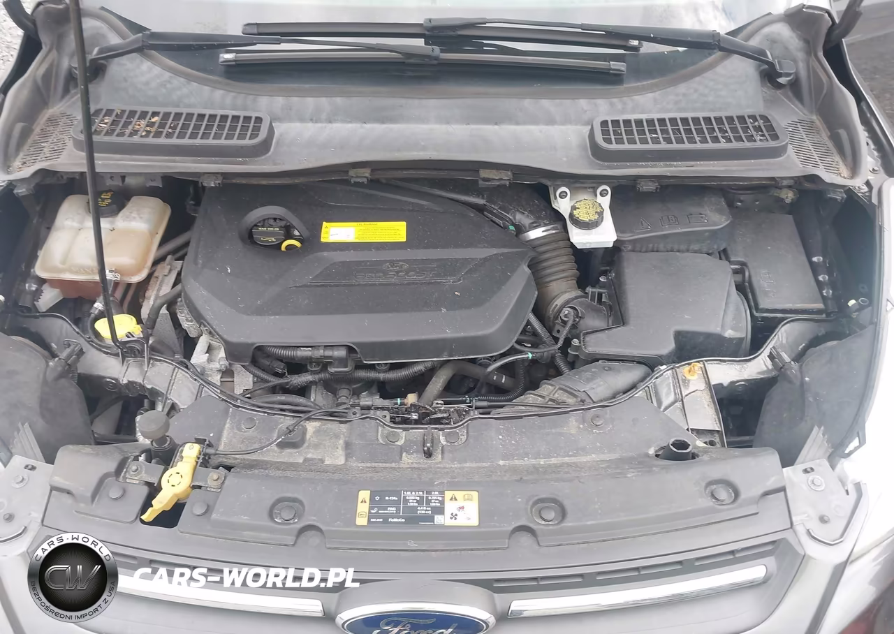 2016 Ford Escape Se VIN:1FMCU9GX2GUC49648 - 10