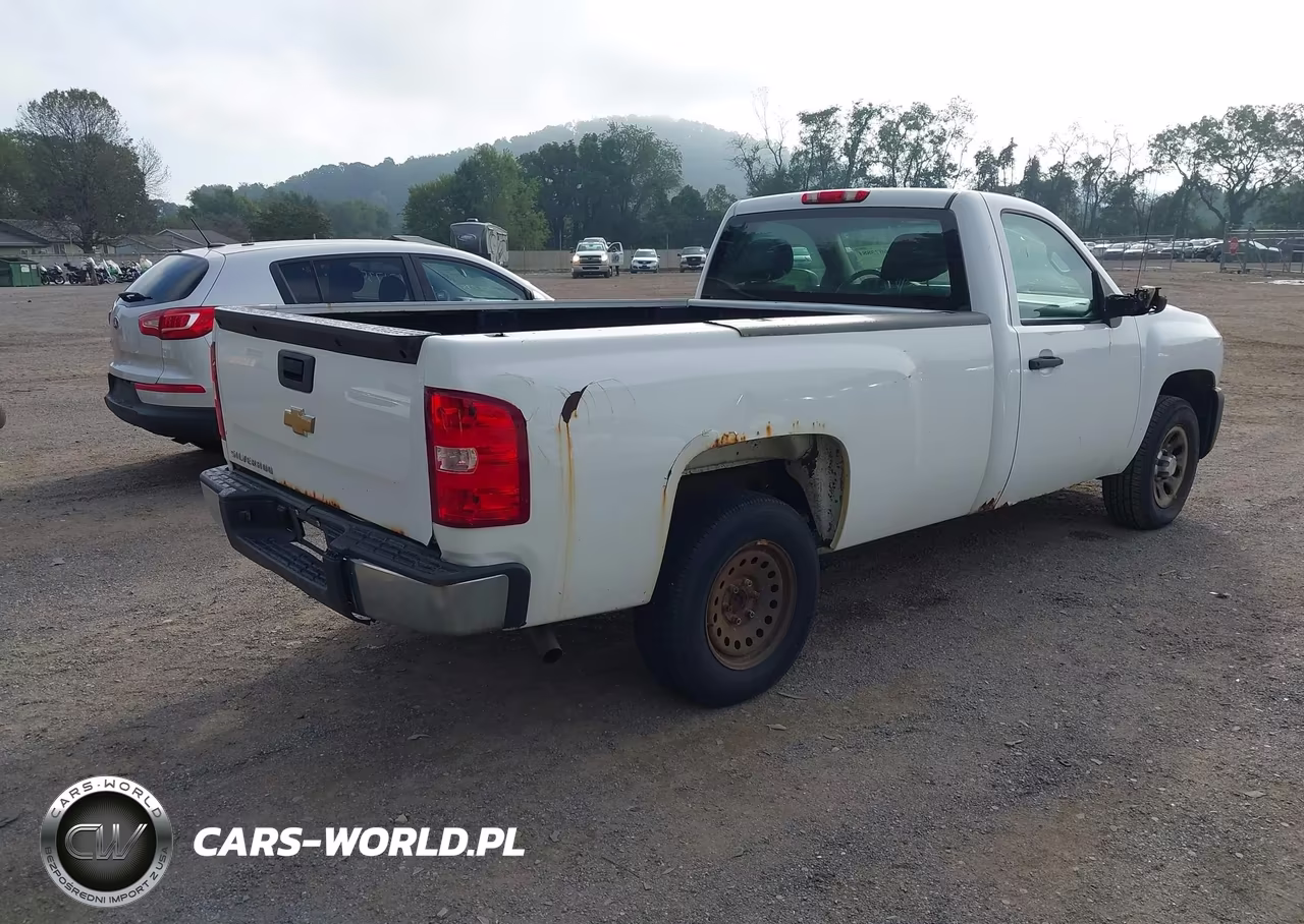 2013 Chevrolet Silverado 1500 Work Truck VIN:1GCNCPEX4DZ404366 - 4