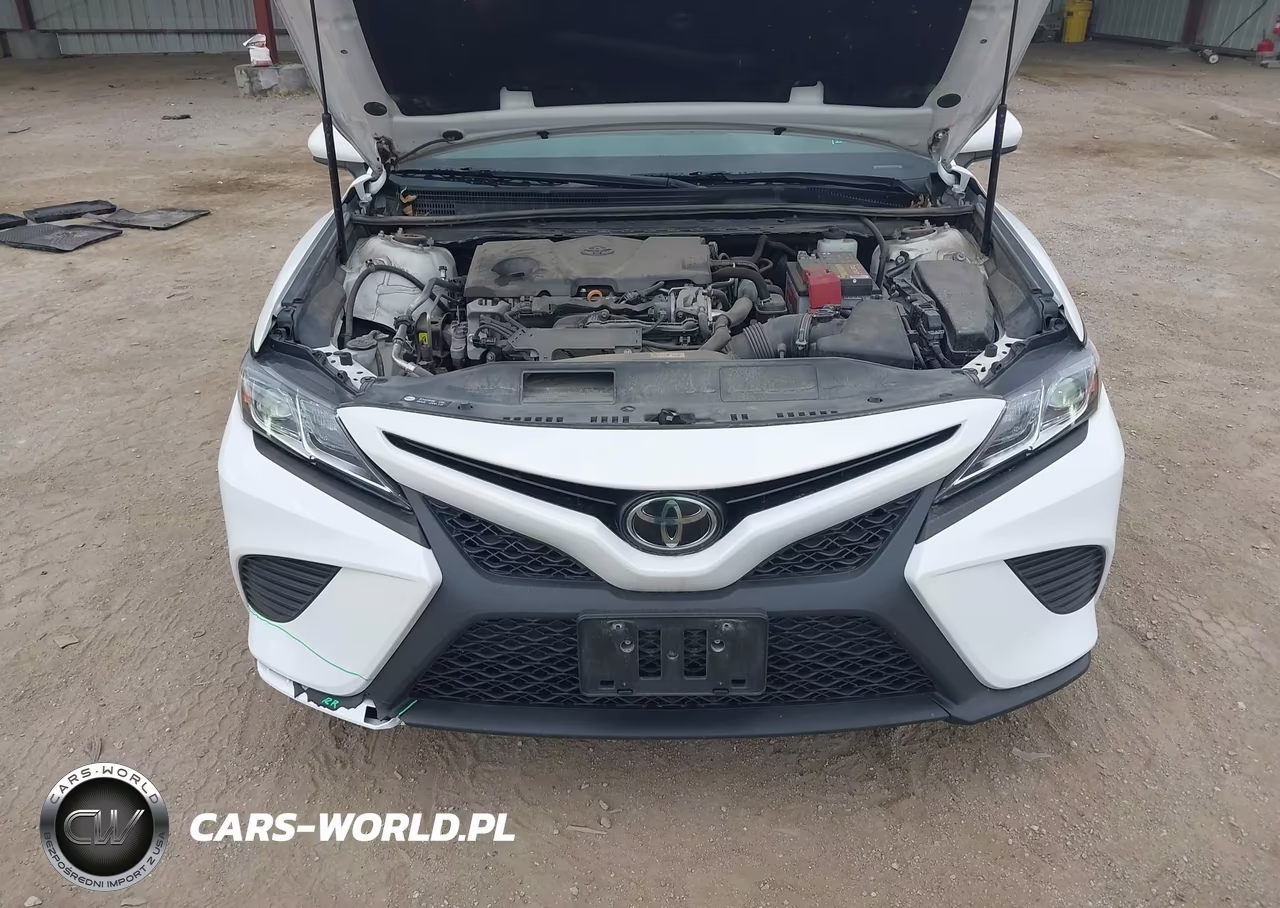 2020 Toyota Camry Se VIN:4T1G11AK1LU904434 - 10