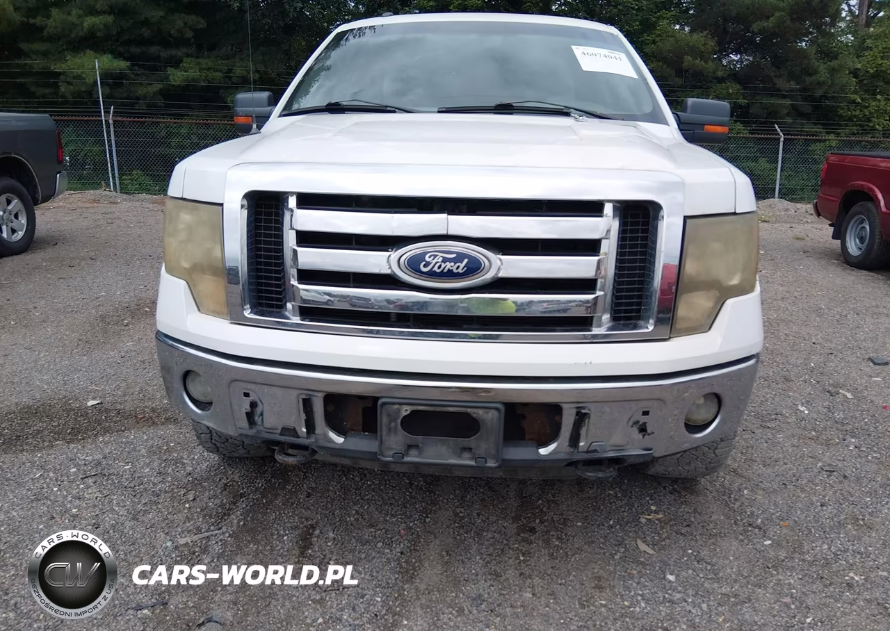 2010 Ford F-150 Fx4-Harley-Davidson-King Ranch-Lariat-Platinum-Xl-Xlt VIN:1FTFW1EV1AFD76191 - 12