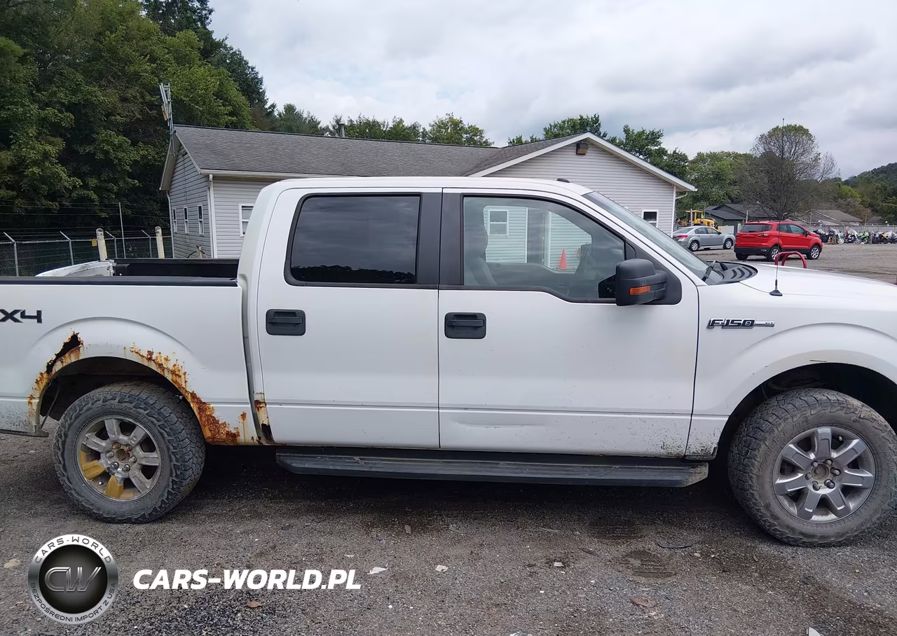 2010 Ford F-150 Fx4-Harley-Davidson-King Ranch-Lariat-Platinum-Xl-Xlt VIN:1FTFW1EV1AFD76191 - 13