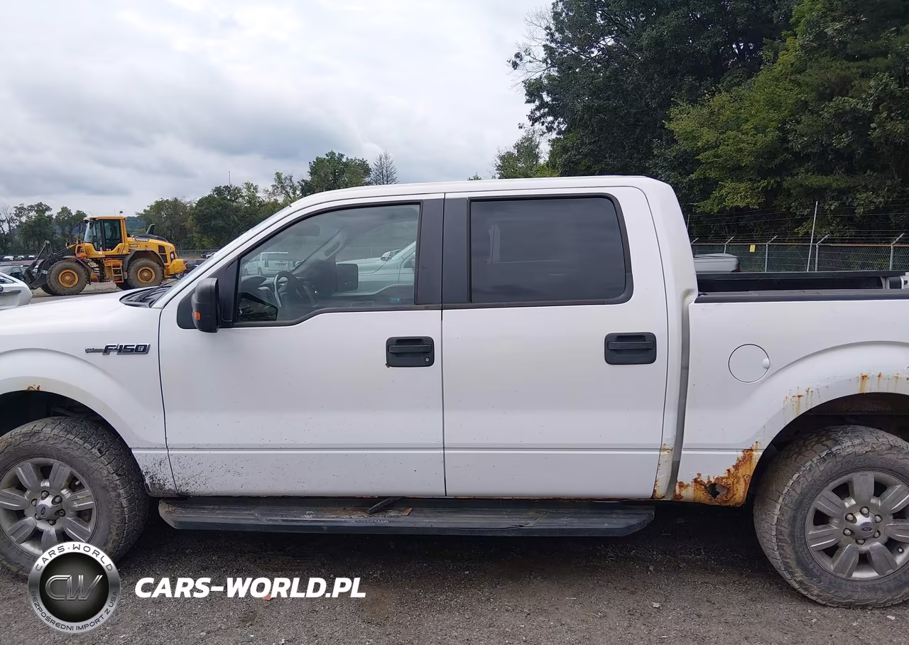2010 Ford F-150 Fx4-Harley-Davidson-King Ranch-Lariat-Platinum-Xl-Xlt VIN:1FTFW1EV1AFD76191 - 14
