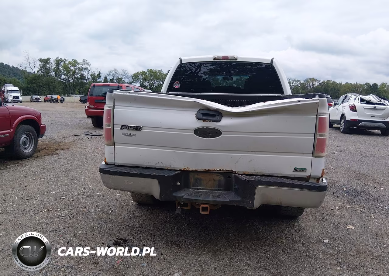 2010 Ford F-150 Fx4-Harley-Davidson-King Ranch-Lariat-Platinum-Xl-Xlt VIN:1FTFW1EV1AFD76191 - 16
