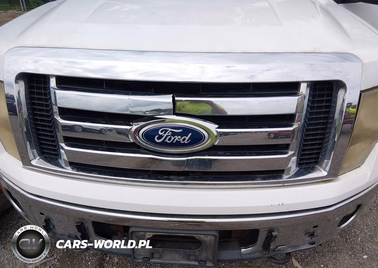 2010 Ford F-150 Fx4-Harley-Davidson-King Ranch-Lariat-Platinum-Xl-Xlt VIN:1FTFW1EV1AFD76191 - 19