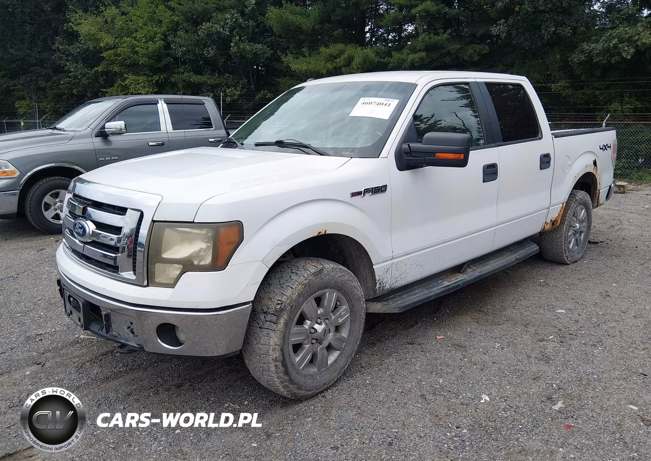 2010 Ford F-150 Fx4-Harley-Davidson-King Ranch-Lariat-Platinum-Xl-Xlt VIN:1FTFW1EV1AFD76191 - 2