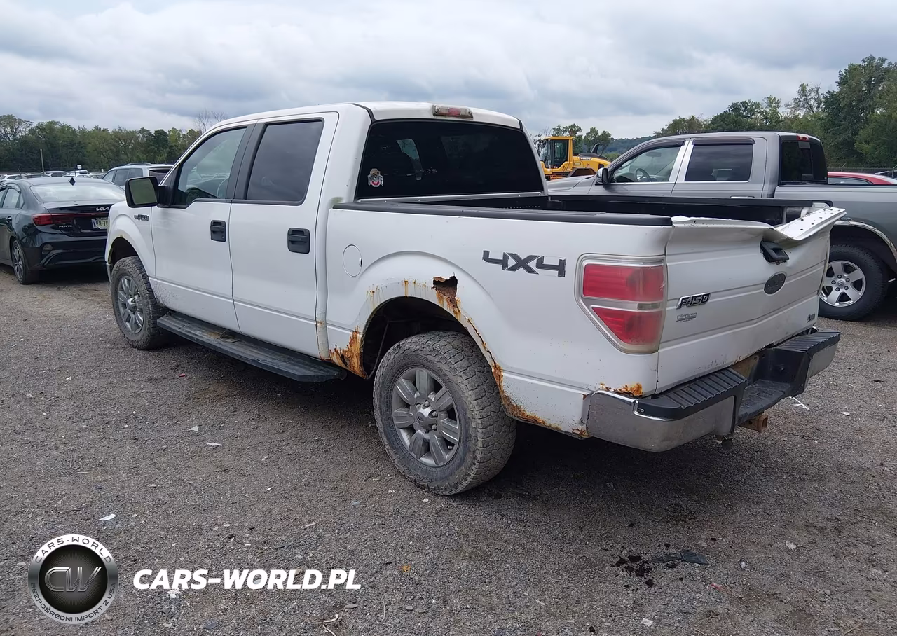 2010 Ford F-150 Fx4-Harley-Davidson-King Ranch-Lariat-Platinum-Xl-Xlt VIN:1FTFW1EV1AFD76191 - 3