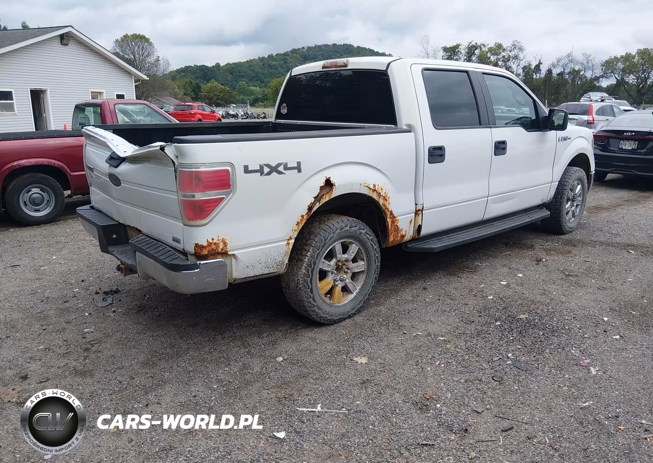 2010 Ford F-150 Fx4-Harley-Davidson-King Ranch-Lariat-Platinum-Xl-Xlt VIN:1FTFW1EV1AFD76191 - 4