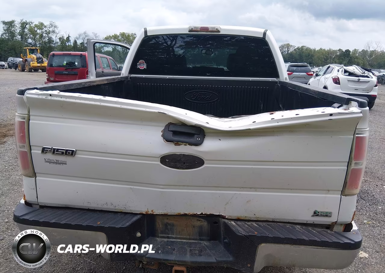 2010 Ford F-150 Fx4-Harley-Davidson-King Ranch-Lariat-Platinum-Xl-Xlt VIN:1FTFW1EV1AFD76191 - 6