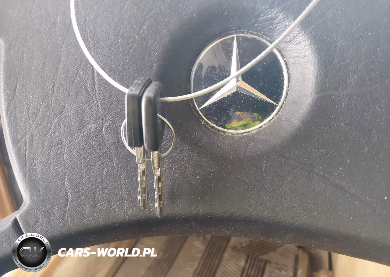1981 Mercedes-Benz 300 Sd VIN:WDBCB20A9BB003268 - 11