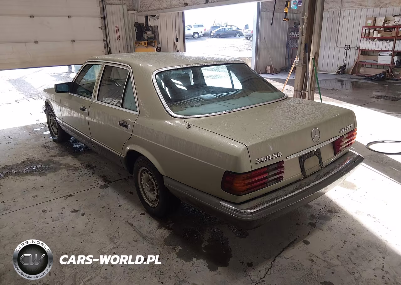 1981 Mercedes-Benz 300 Sd VIN:WDBCB20A9BB003268 - 3