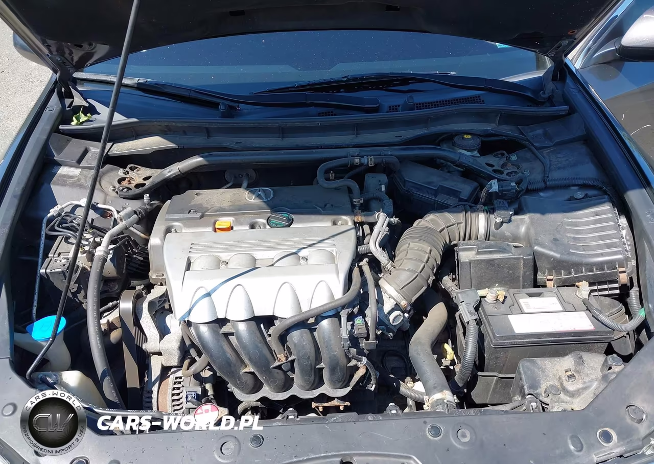 2009 Acura Tsx VIN:JH4CU266X9C009873 - 10