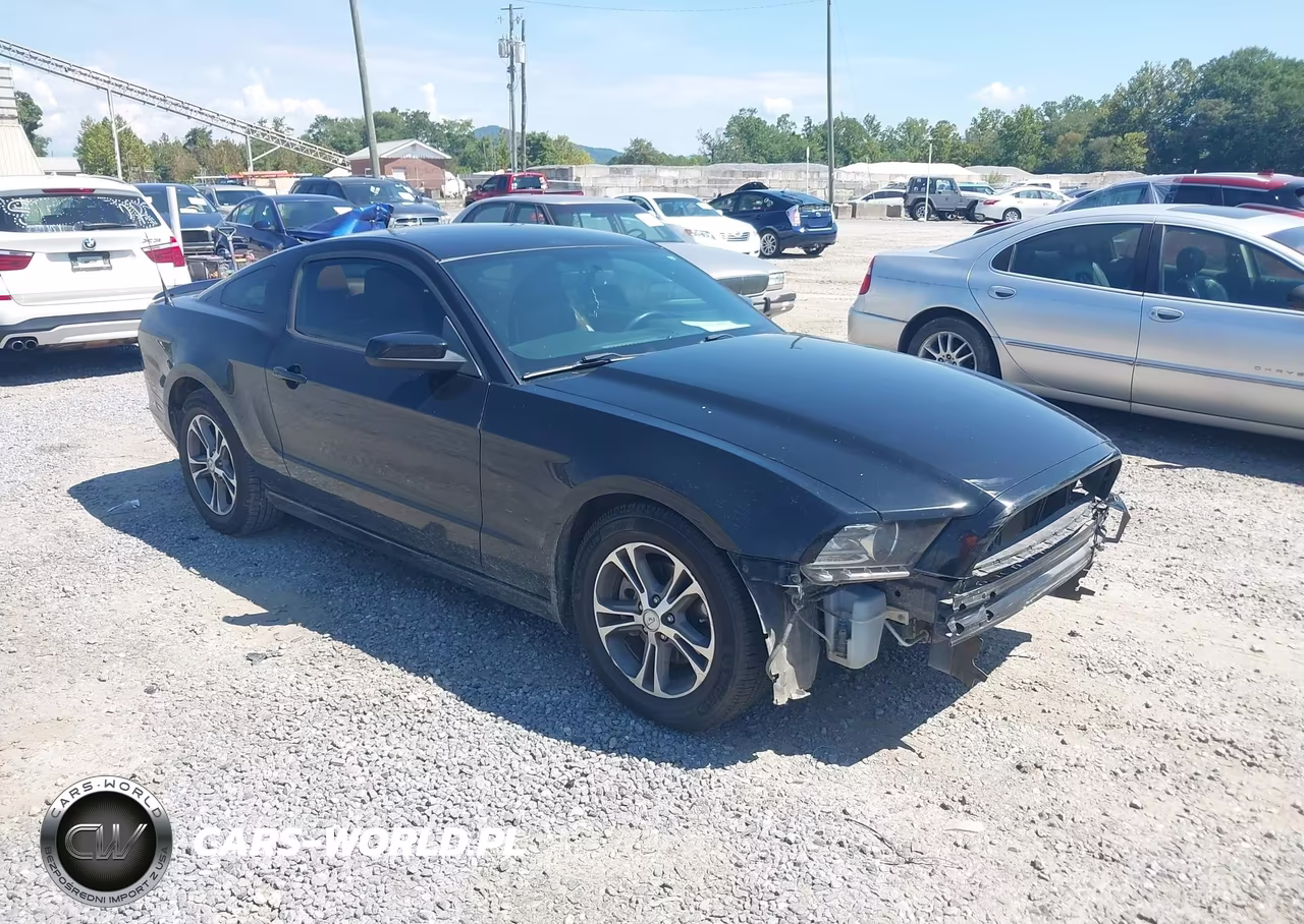 2014 Ford Mustang V6 Premium VIN:1ZVBP8AM2E5286834 - 1
