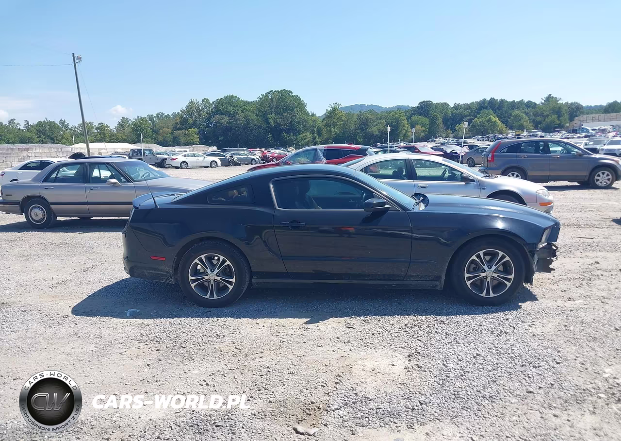 2014 Ford Mustang V6 Premium VIN:1ZVBP8AM2E5286834 - 13