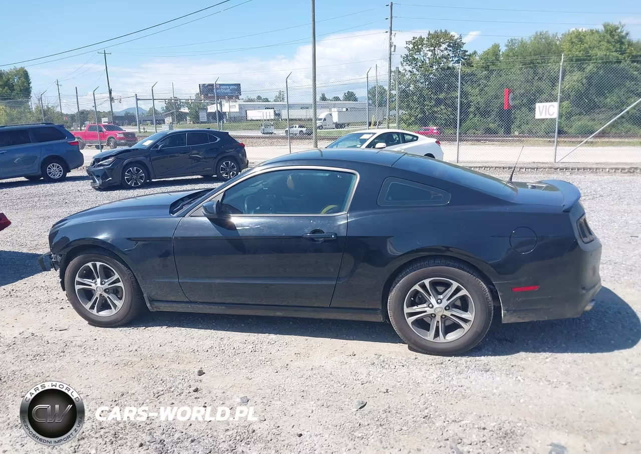 2014 Ford Mustang V6 Premium VIN:1ZVBP8AM2E5286834 - 14