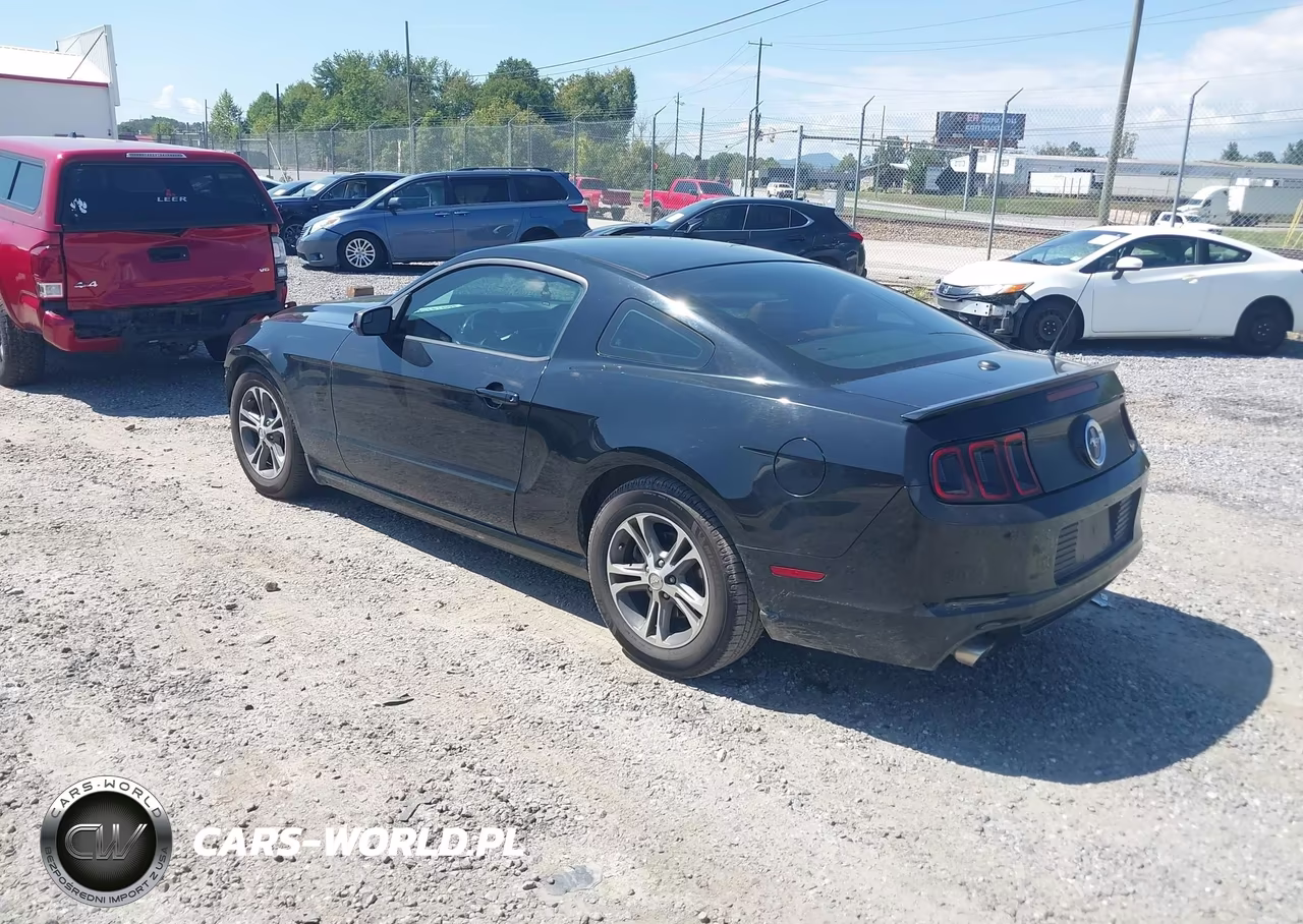 2014 Ford Mustang V6 Premium VIN:1ZVBP8AM2E5286834 - 3