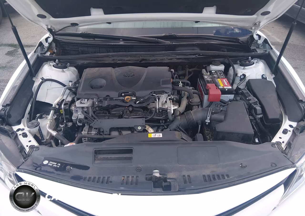 2020 Toyota Camry Le VIN:4T1C11AK8LU944069 - 10