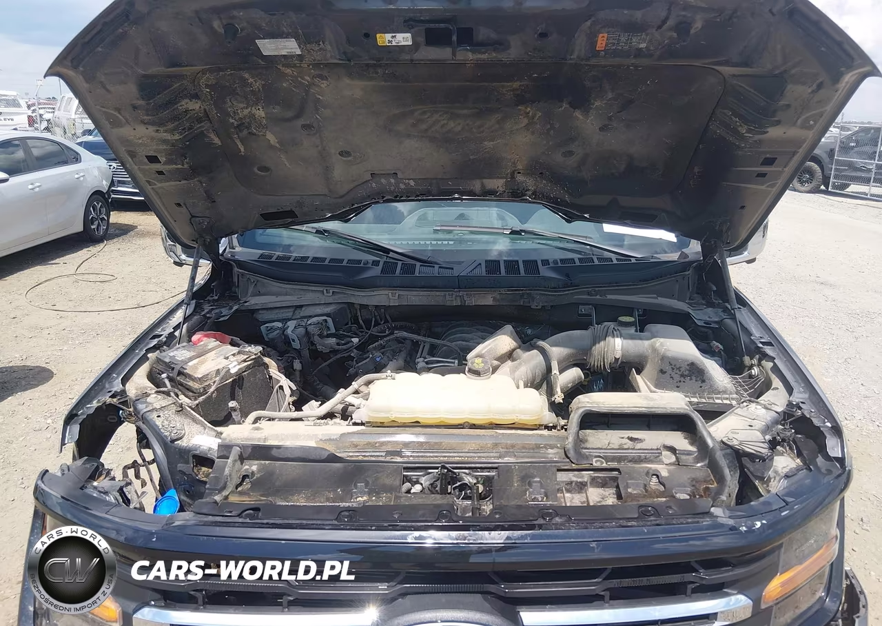 2024 Ford F-150 Xlt VIN:1FTFW3L50RKF41956 - 10
