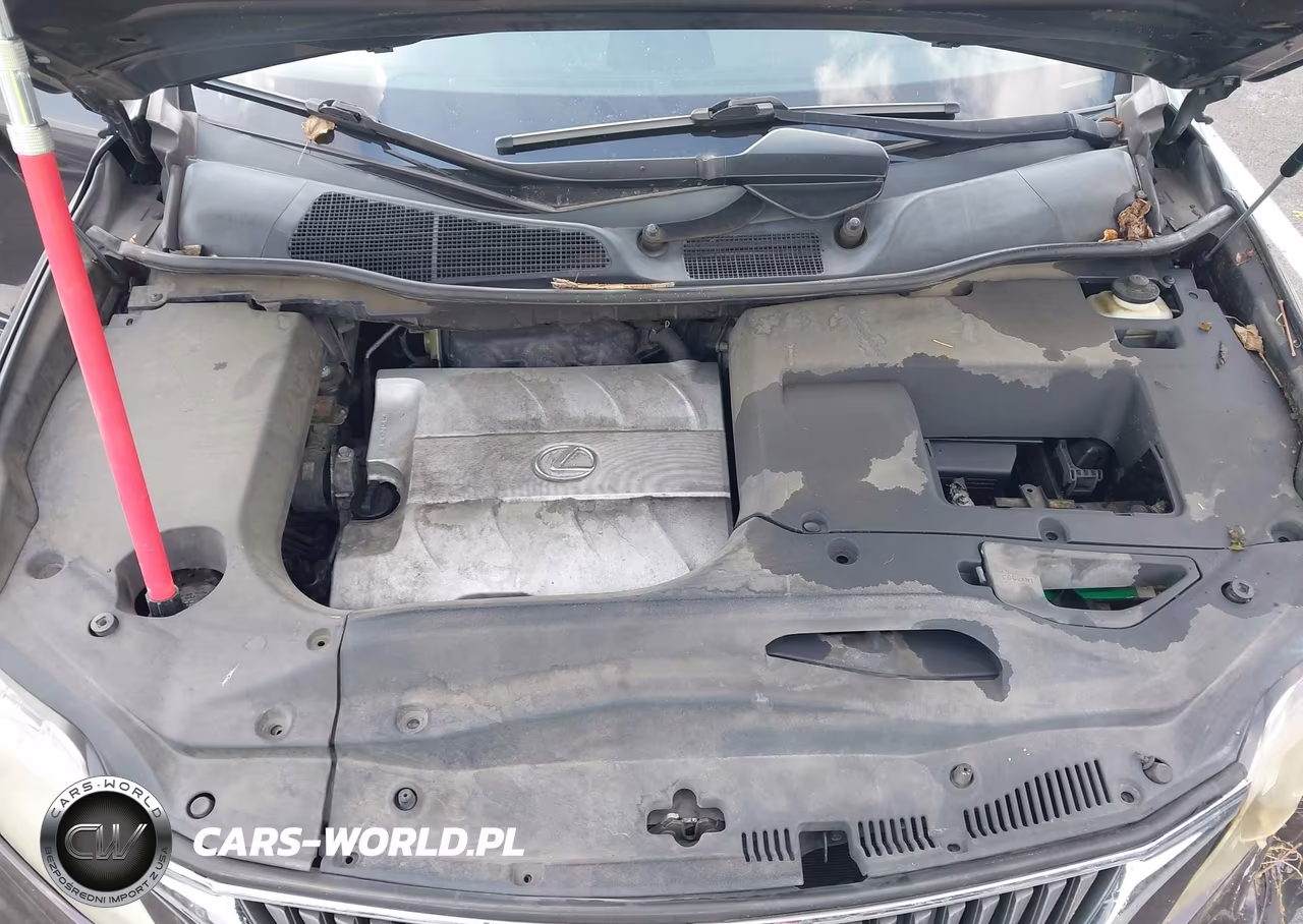 2010 Lexus Rx 350 VIN:2T2BK1BA5AC046473 - 10