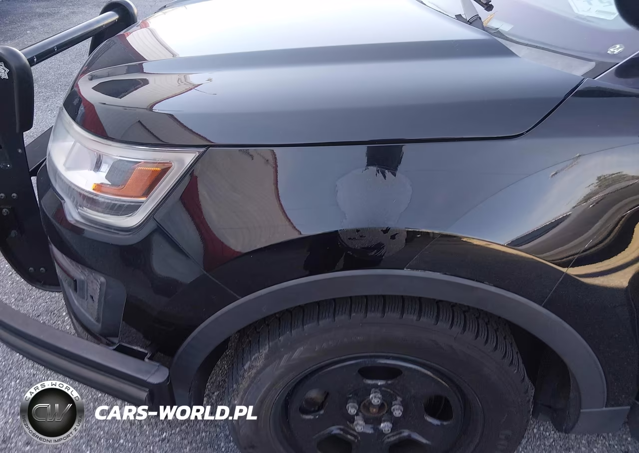 2018 Ford Police Interceptor Utility VIN:1FM5K8AR9JGA59693 - 13