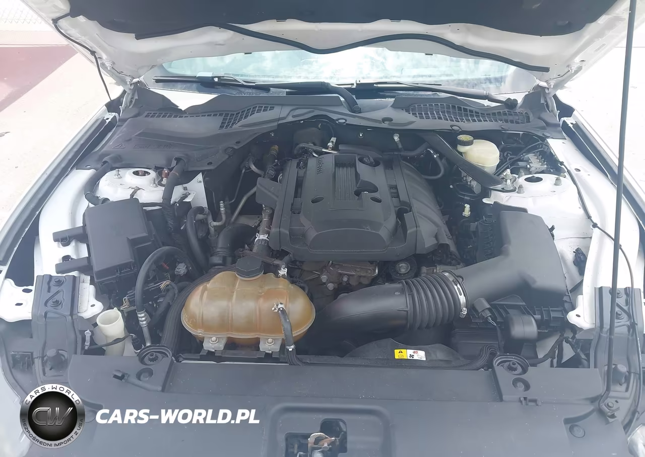 2016 Ford Mustang Ecoboost Premium VIN:1FATP8UH0G5274695 - 10