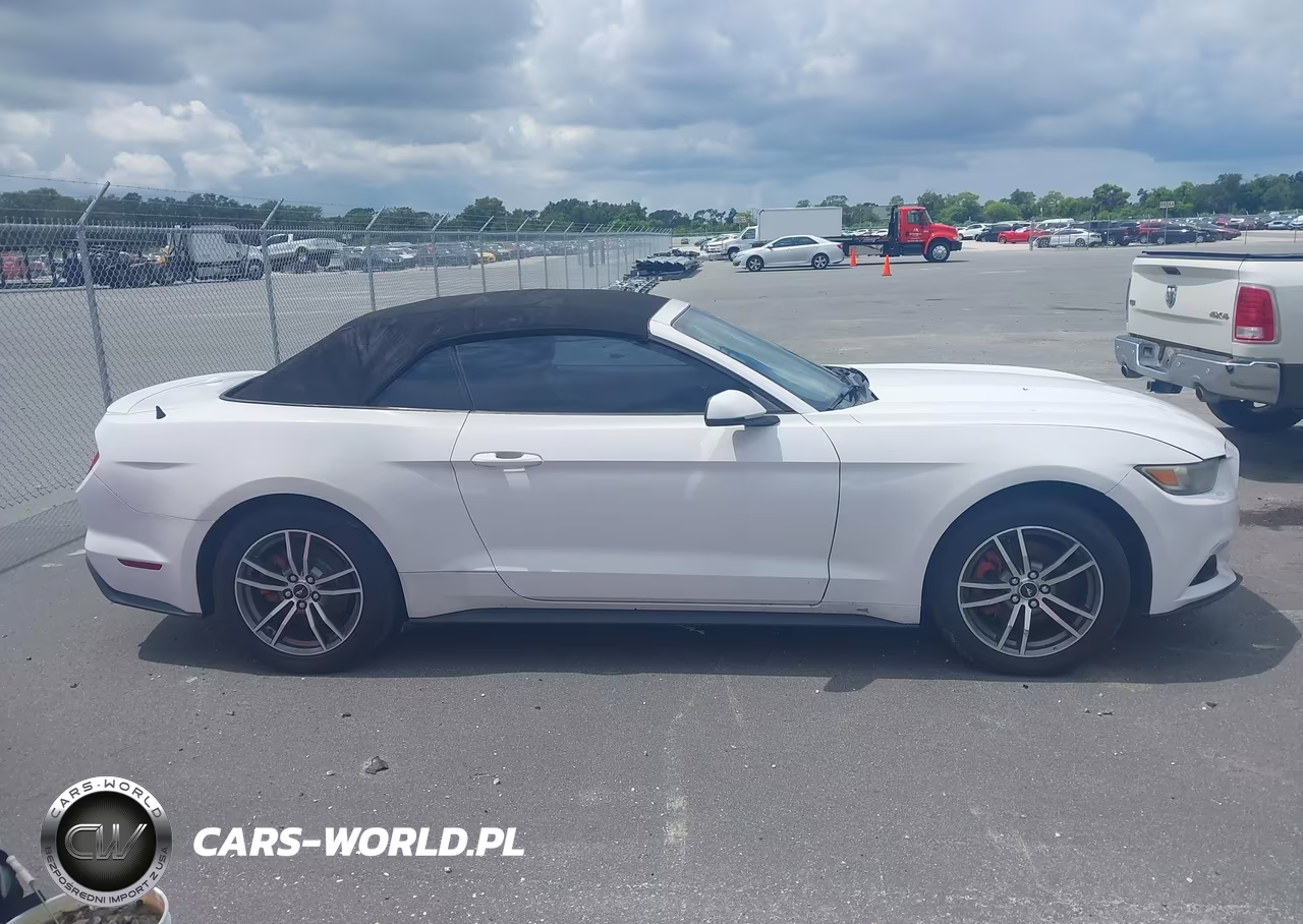 2016 Ford Mustang Ecoboost Premium VIN:1FATP8UH0G5274695 - 13