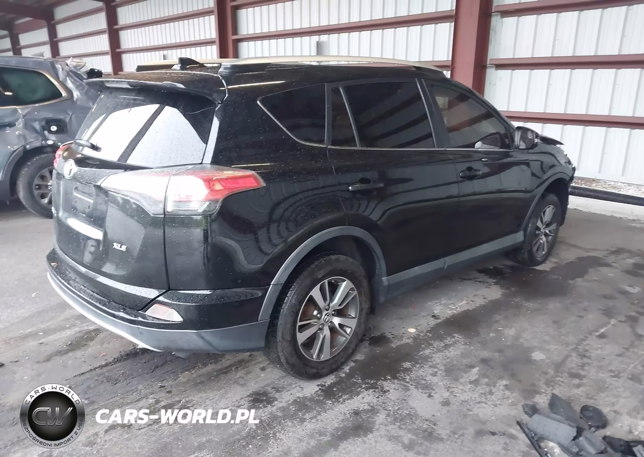 2016 Toyota Rav4 Xle VIN:2T3WFREV7GW255655 - 4