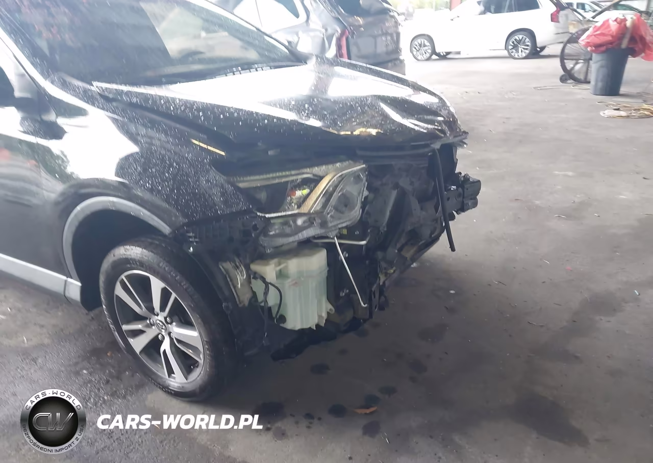 2016 Toyota Rav4 Xle VIN:2T3WFREV7GW255655 - 6