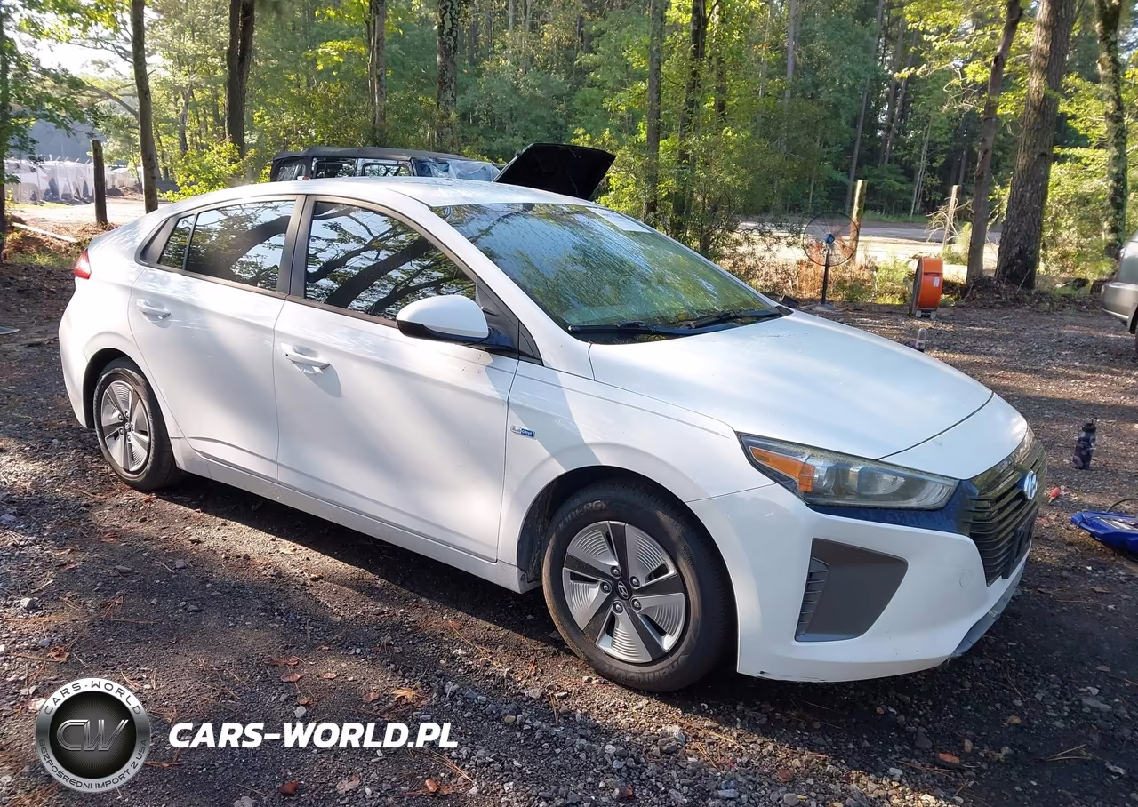 2019 Hyundai Ioniq Hybrid Blue VIN:KMHC65LC4KU110717 - 1